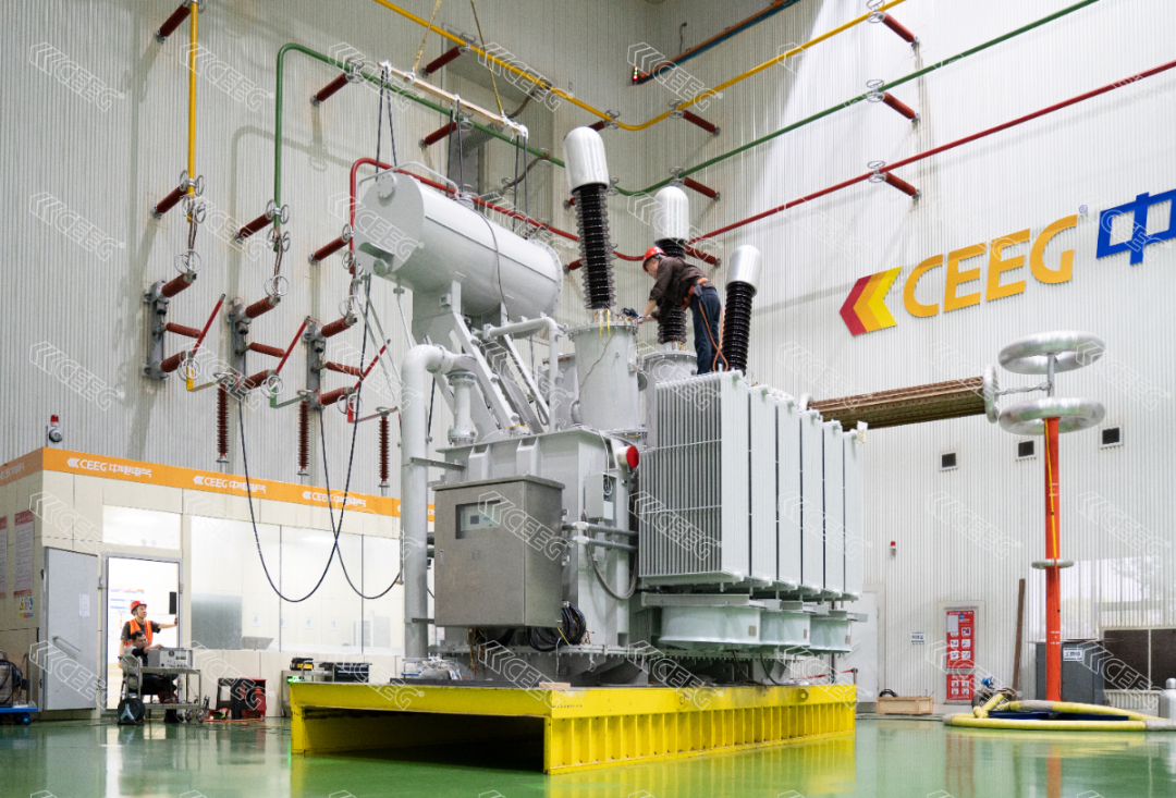 CEEG Project Cases.png