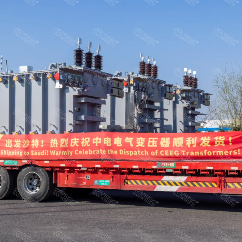 CEEG Middle East Service Support Center Officially Launched